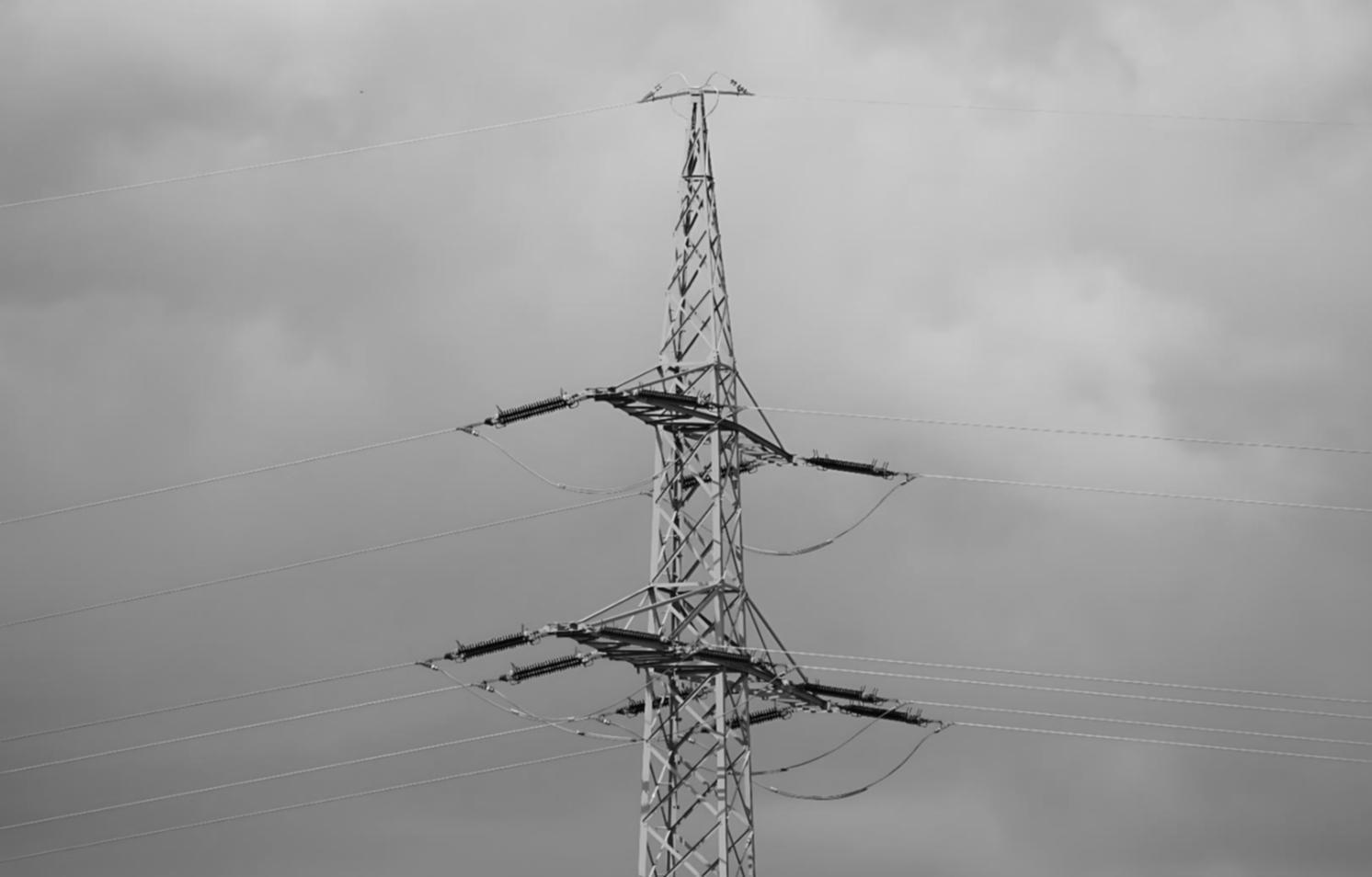 Teilnehmer während einer Praxisübung